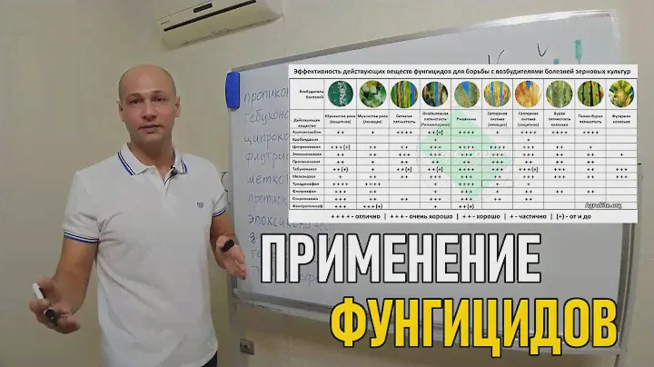 Фунгицид: применение триазолов по вегетации