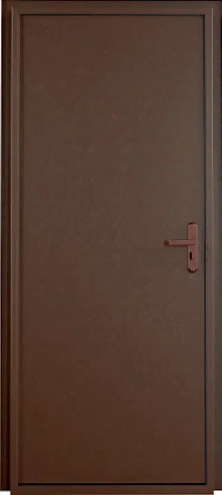 Дверь ПРОФИ-1