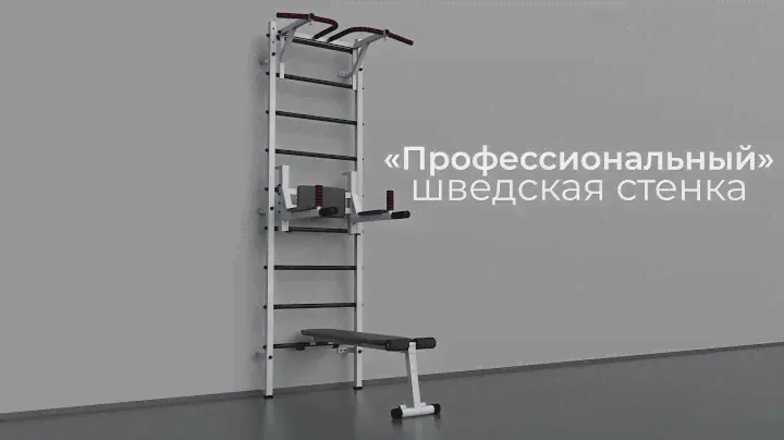 Шведская стенка "Профессиональный"