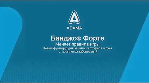 фунгицид против фитофтороза на картофеле, а также пероноспороза на луке Банджо® Форте