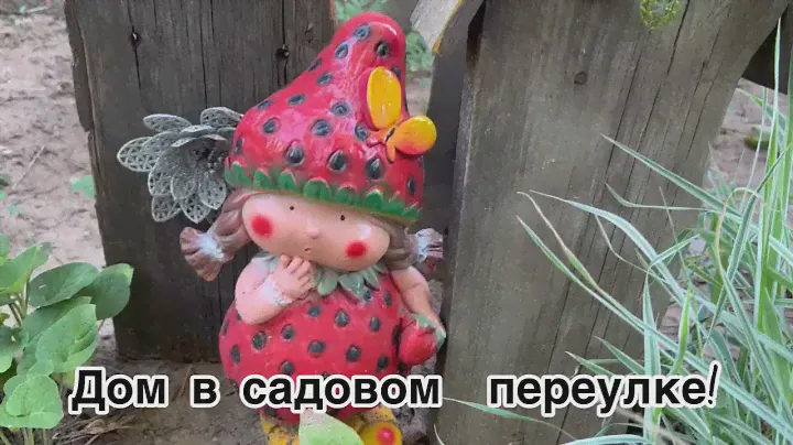 Погода у нас жуткая холодно дождь !  Разобрать подсобку от старых закруток,  и все про все